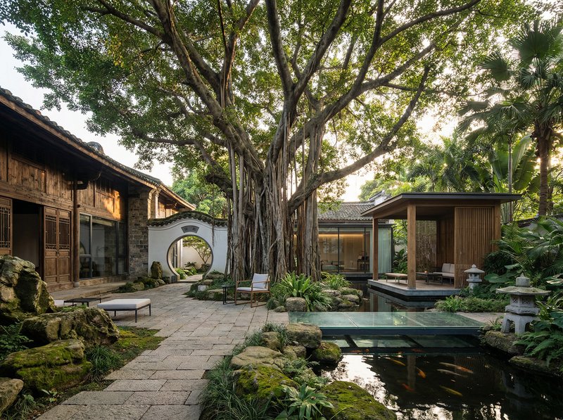 国产视频古榕树纪录片视频