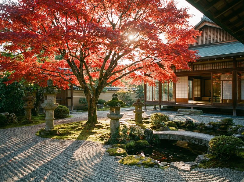 国产视频红枫视频